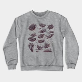 Trilobite Fossils Crewneck Sweatshirt